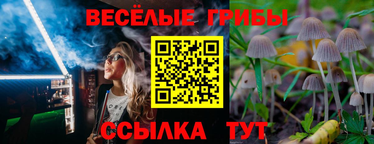 Фролово  Галлюциногенные грибы Cubensis  Псилоцибиновые грибы прущие грибы  Вход с VPN 