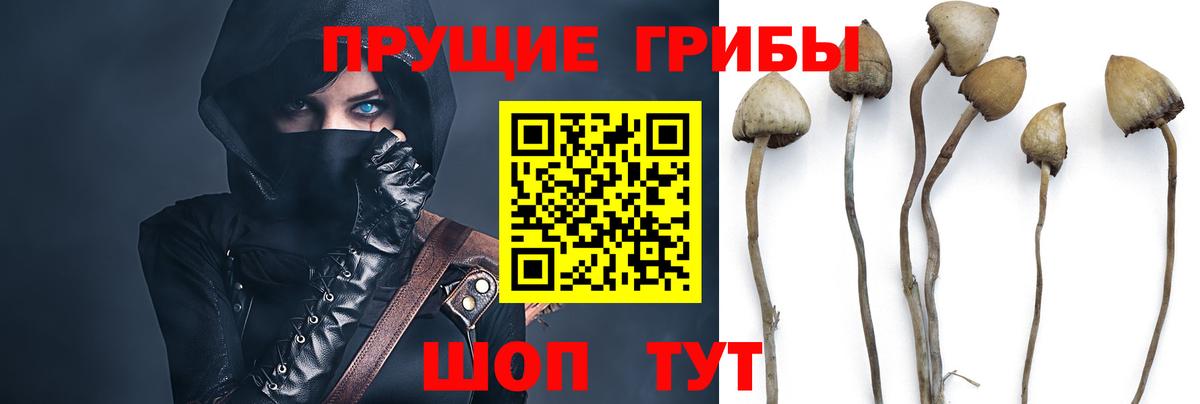 Галлюциногенные грибы мицелий Фролово